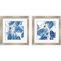 Framed Indigo Neutrals 2 Piece Framed Art Print Set