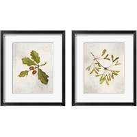 Framed 'Tree Branch 2 Piece Framed Art Print Set' border=