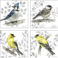 Framed 'Backyard Birds 4 Piece Art Print Set' border=