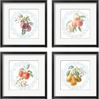 Framed 'Blooming Orchard 4 Piece Framed Art Print Set' border=