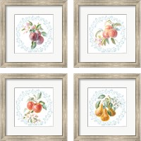 Framed 'Blooming Orchard 4 Piece Framed Art Print Set' border=