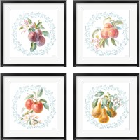 Framed 'Blooming Orchard 4 Piece Framed Art Print Set' border=