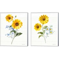 Framed 'Bees and Blooms Flowers 2 Piece Canvas Print Set' border=