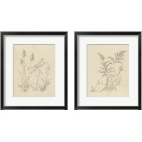 Framed 'Vintage Nature Sketchbook 2 Piece Framed Art Print Set' border=