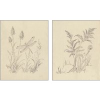 Framed 'Vintage Nature Sketchbook 2 Piece Art Print Set' border=