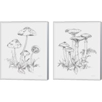 Framed 'Natures Sketchbook 2 Piece Canvas Print Set' border=