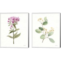 Framed 'Flowers of the Wild 2 Piece Canvas Print Set' border=