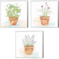 Framed 'Let it Grow 3 Piece Canvas Print Set' border=