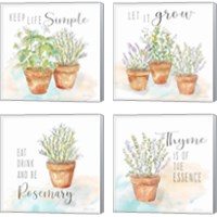 Framed 'Let it Grow 4 Piece Canvas Print Set' border=