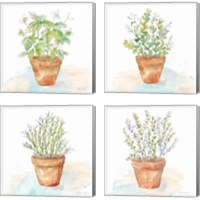 Framed 'Let it Grow 4 Piece Canvas Print Set' border=