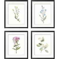 Framed 'Flowers of the Wild 4 Piece Framed Art Print Set' border=