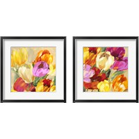 Framed 'Colorful Tulips 2 Piece Framed Art Print Set' border=