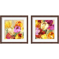 Framed 'Colorful Tulips 2 Piece Framed Art Print Set' border=