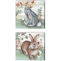 Framed 'Farmhouse Bunny 2 Piece Canvas Print Set' border=