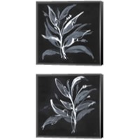 Framed 'Chalkboard Branch 2 Piece Canvas Print Set' border=