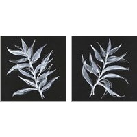 Framed 'White Fern 2 Piece Art Print Set' border=