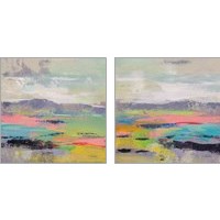 Framed 'Blooming Field 2 Piece Art Print Set' border=