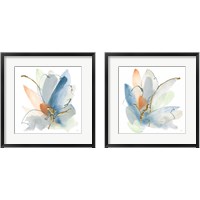 Framed 'Color Spray 2 Piece Framed Art Print Set' border=