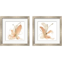 Framed 'Butterfly Flower 2 Piece Framed Art Print Set' border=