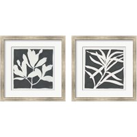 Framed 'Growing Gray 2 Piece Framed Art Print Set' border=