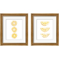 Framed 'Lemon Slices 2 Piece Framed Art Print Set' border=