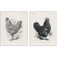 Framed 'Vintage Farm Life 2 Piece Art Print Set' border=