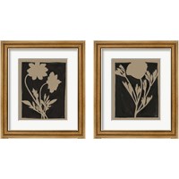 Framed 'Joyful Spring 2 Piece Framed Art Print Set' border=