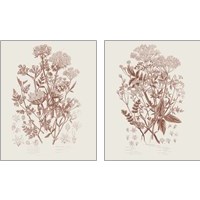Framed 'Flowering Plants 2 Piece Art Print Set' border=