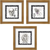 Framed 'Arsenic and Anatomy 3 Piece Framed Art Print Set' border=