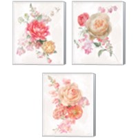 Framed 'Sorbet Floret 3 Piece Canvas Print Set' border=