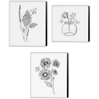 Framed 'Among Wildflowers 3 Piece Canvas Print Set' border=