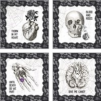 Framed 'Arsenic and Anatomy 4 Piece Art Print Set' border=