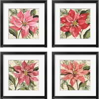 Framed 'Poinsettia Botanical 4 Piece Framed Art Print Set' border=