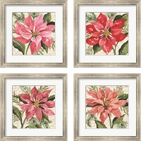 Framed 'Poinsettia Botanical 4 Piece Framed Art Print Set' border=