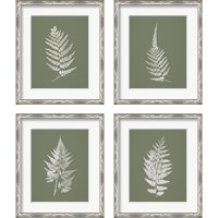 Framed 'True Green 4 Piece Framed Art Print Set' border=